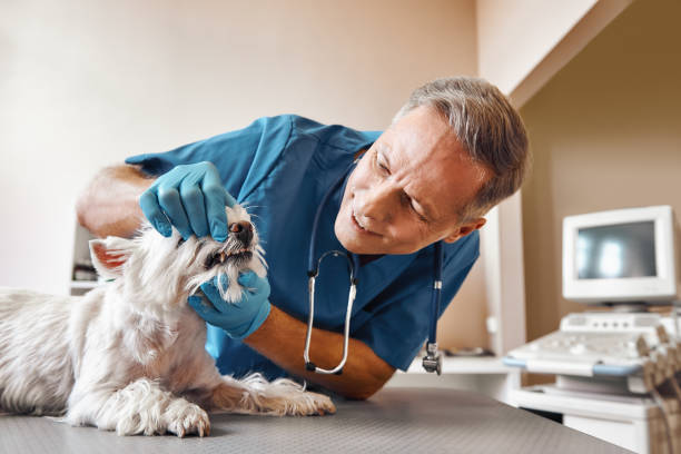 Best Tooth Infection Emergency Dentist  in Watonga, OK